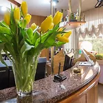Hotel Roy 4*